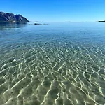 With Charm In Lofoten