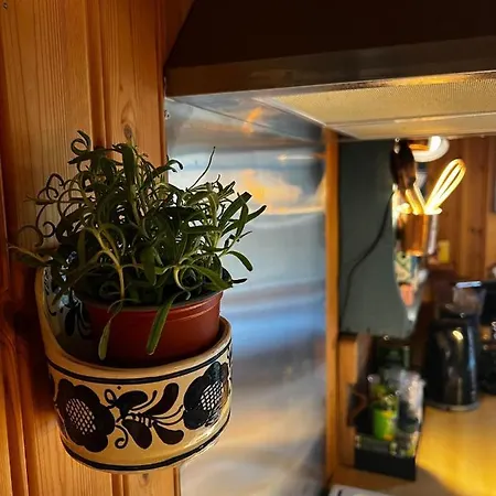 With Charm In Lofoten Chalet *