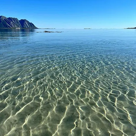 With Charm In Lofoten