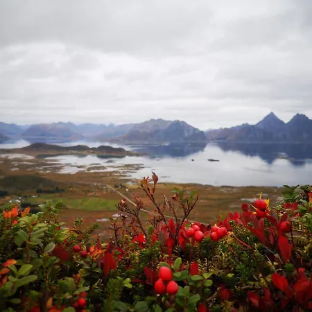 With Charm In Lofoten 木屋 Valberg
