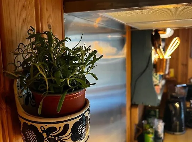 With Charm In Lofoten 木屋 *